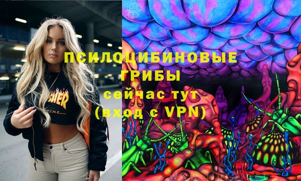 сатива Алексин