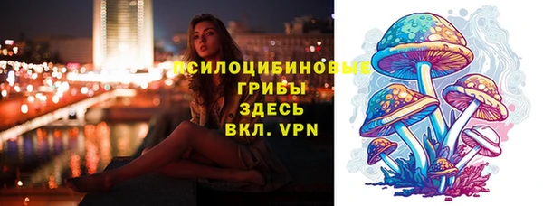 круглые Алзамай